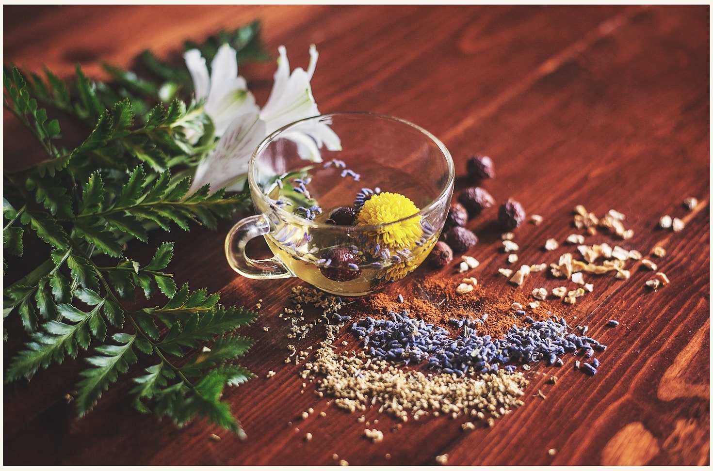 Navigating Recovery with Natural Detox Options